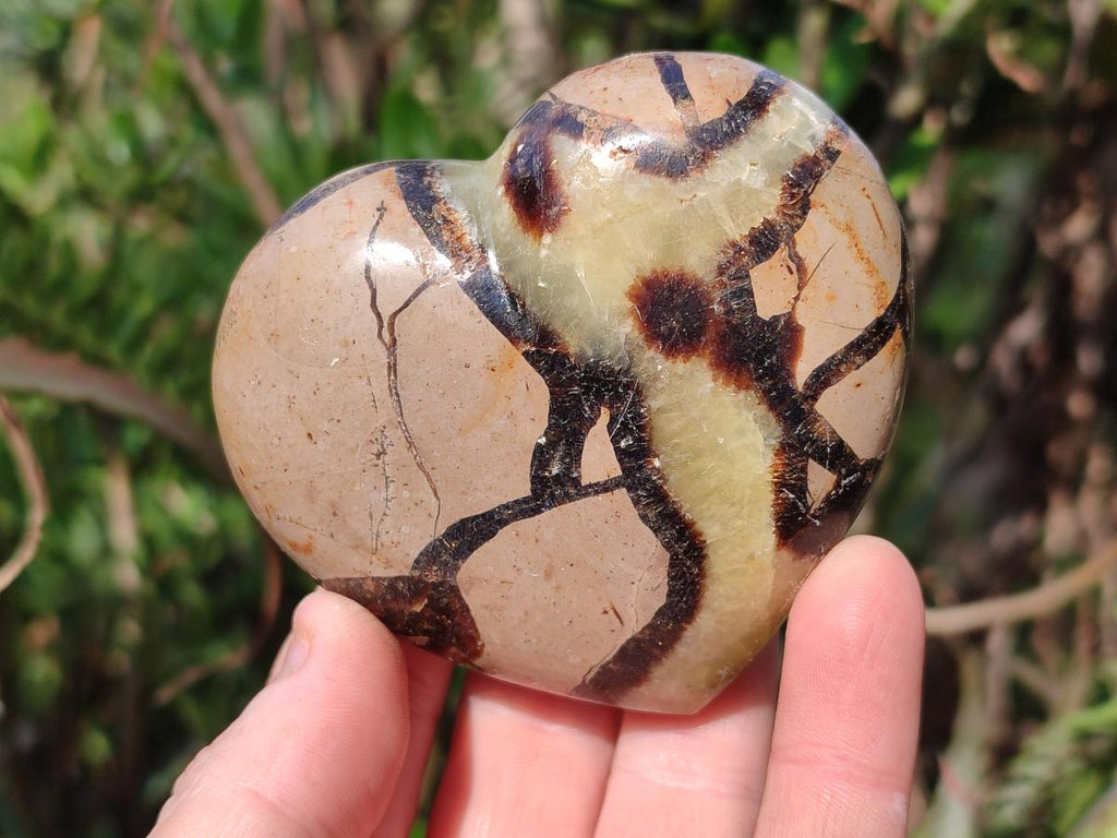 Polished Septerye Hearts x 12 From Mahajanga, Madagascar - Toprock Gemstones and Minerals 
