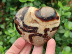 Polished Septerye Hearts x 12 From Mahajanga, Madagascar - Toprock Gemstones and Minerals 
