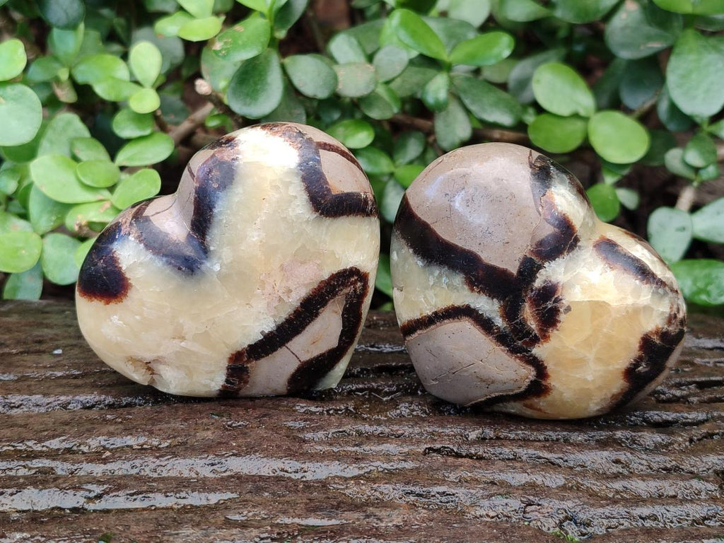 Polished Septerye Hearts x 12 From Mahajanga, Madagascar - Toprock Gemstones and Minerals 