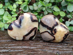 Polished Septerye Hearts x 12 From Mahajanga, Madagascar - Toprock Gemstones and Minerals 