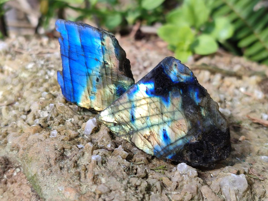 Polished One Side Labradorite Slices x 70 From Madagascar - Toprock Gemstones and Minerals 