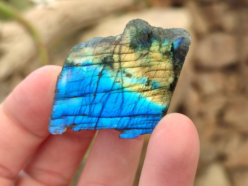 Polished One Side Labradorite Slices x 70 From Madagascar - Toprock Gemstones and Minerals 
