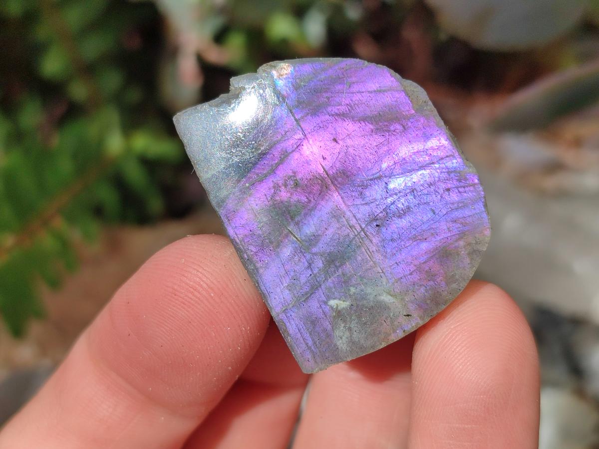 Polished One Side Labradorite Slices x 70 From Madagascar - Toprock Gemstones and Minerals 