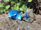Polished One Side Labradorite Slices x 70 From Madagascar - Toprock Gemstones and Minerals 