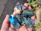 Polished One Side Labradorite Slices x 70 From Madagascar - Toprock Gemstones and Minerals 