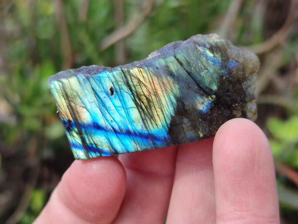 Polished One Side Labradorite Slices x 70 From Madagascar - Toprock Gemstones and Minerals 