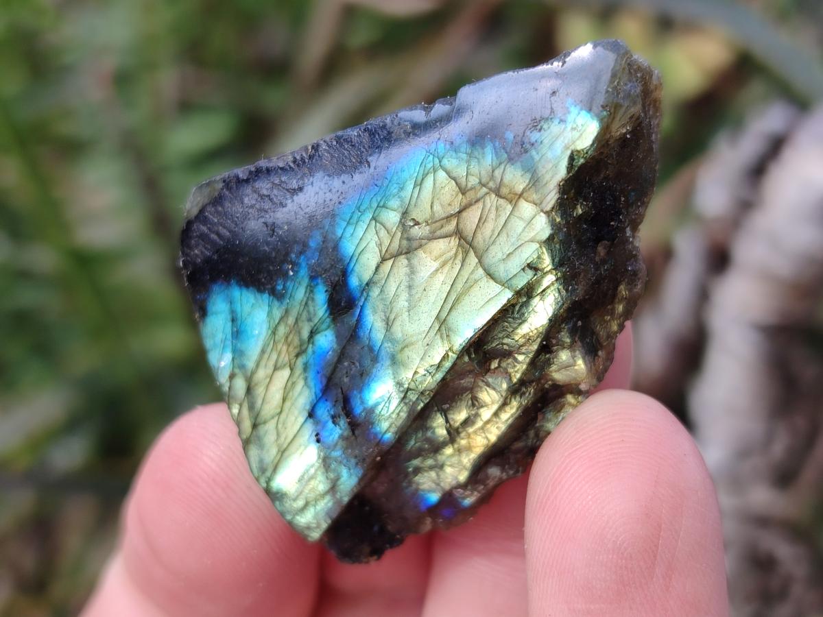 Polished One Side Labradorite Slices x 70 From Madagascar - Toprock Gemstones and Minerals 