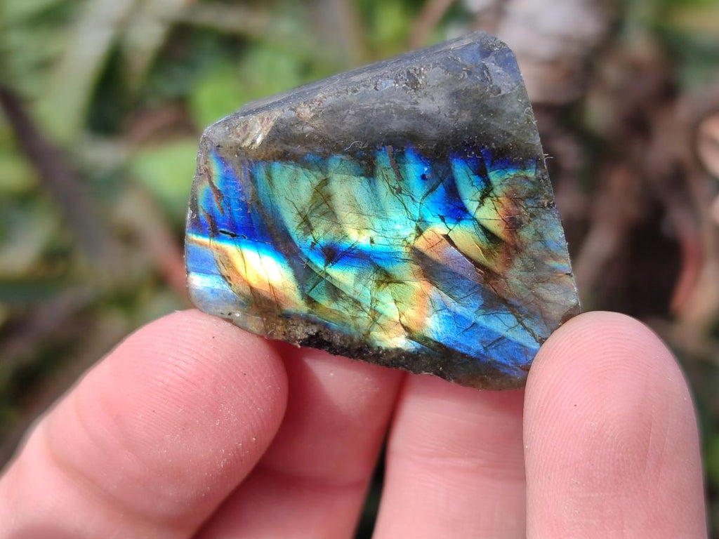 Polished One Side Labradorite Slices x 70 From Madagascar - Toprock Gemstones and Minerals 