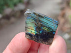 Polished One Side Labradorite Slices x 70 From Madagascar - Toprock Gemstones and Minerals 