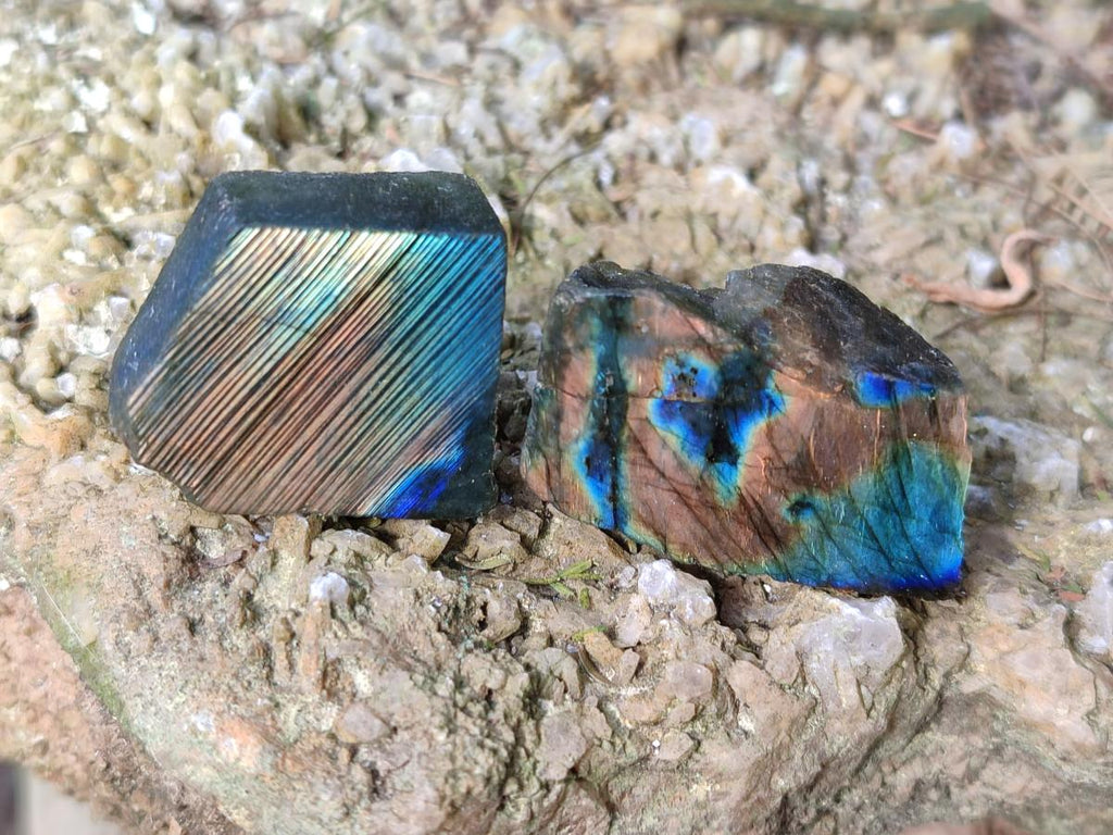 Polished One Side Labradorite Slices x 70 From Madagascar - Toprock Gemstones and Minerals 