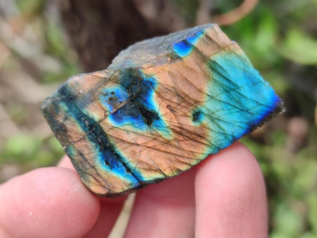 Polished One Side Labradorite Slices x 70 From Madagascar - Toprock Gemstones and Minerals 
