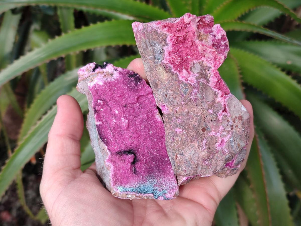 Natural Salrose Cobaltoan Dolomite Specimens with Heterogenite and Chrysocolla x 3 From Kakanda, Congo - Toprock Gemstones and Minerals 