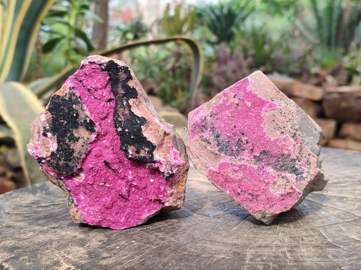 Natural Salrose Cobaltoan Dolomite Specimens with Heterogenite and Chrysocolla x 3 From Kakanda, Congo - Toprock Gemstones and Minerals 