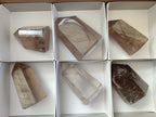 Polished Mixed Smokey Window Quartz Display Crystals x 6 From Madagascar - Toprock Gemstones and Minerals 