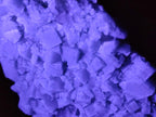 Natural Large Green Cubic Fluorite Specimen x 1 From Mandrosonoro, Madagascar - Toprock Gemstones and Minerals 