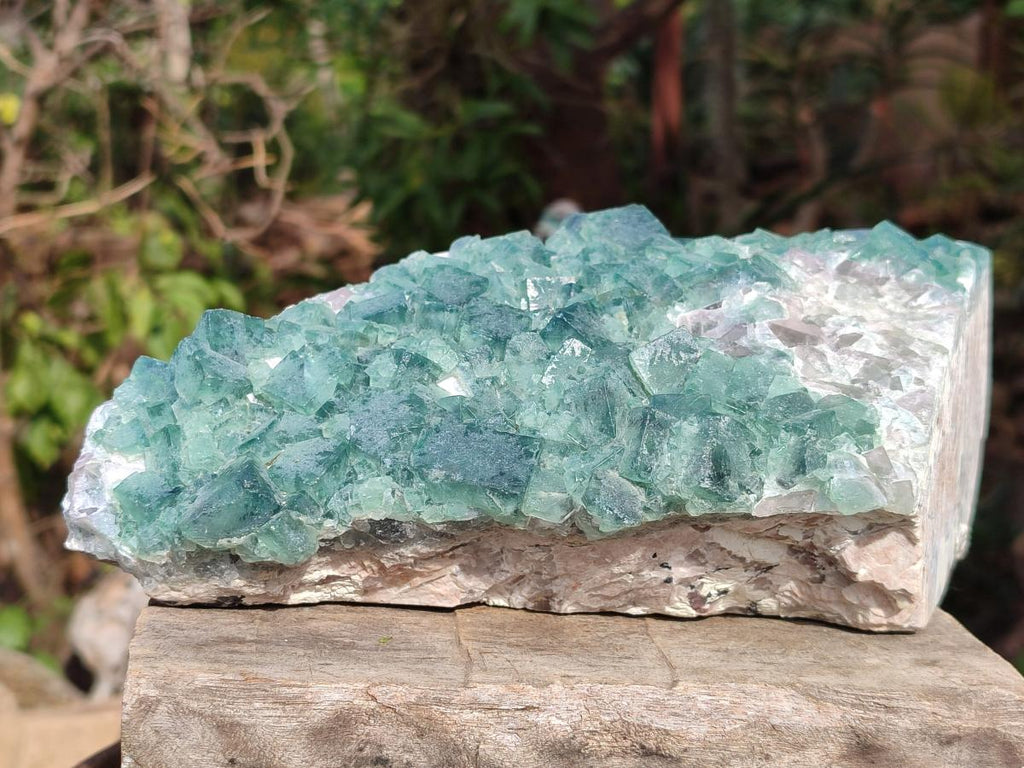 Natural Large Green Cubic Fluorite Specimen x 1 From Mandrosonoro, Madagascar - Toprock Gemstones and Minerals 