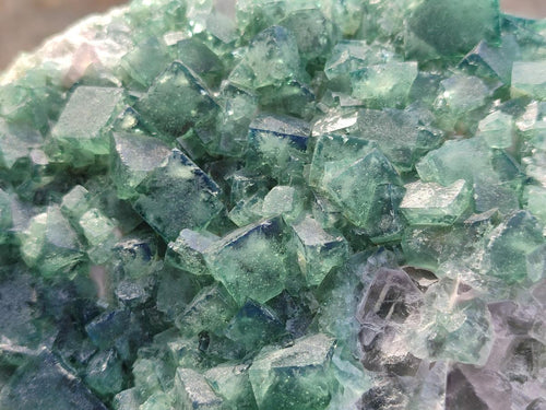 Natural Large Green Cubic Fluorite Specimen x 1 From Mandrosonoro, Madagascar - Toprock Gemstones and Minerals 