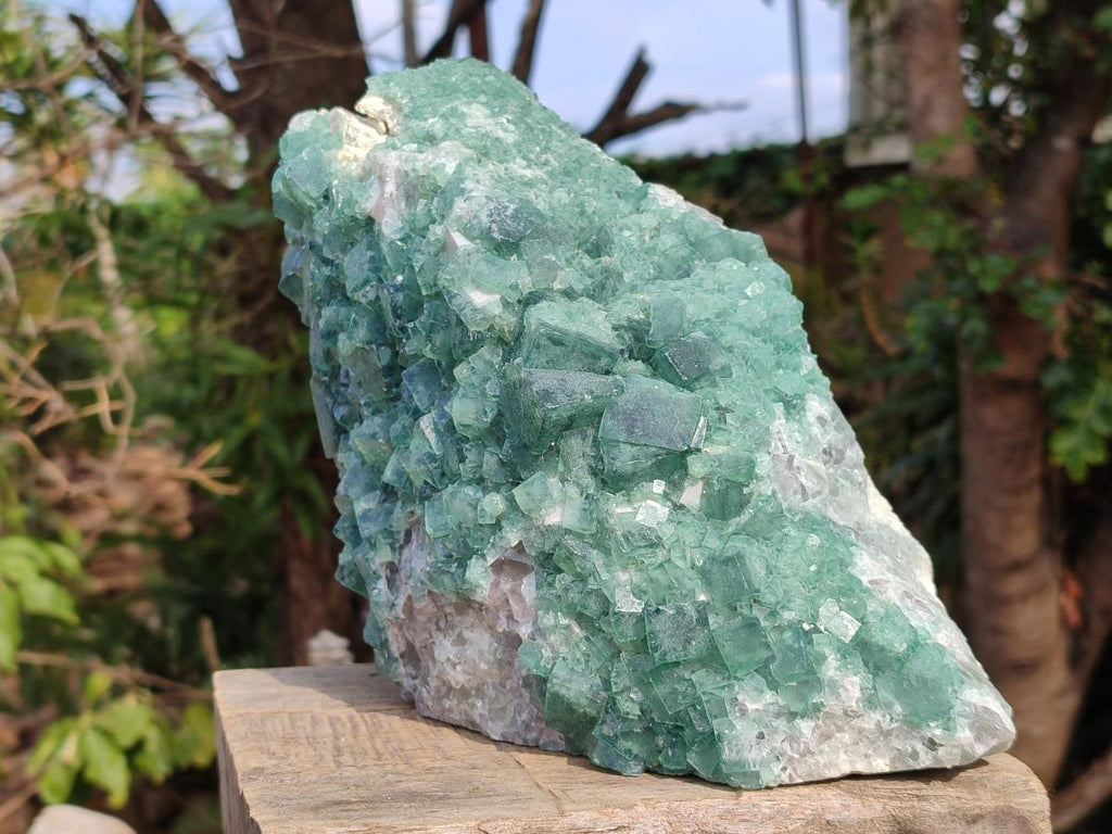 Natural Large Green Cubic Fluorite Specimen x 1 From Mandrosonoro, Madagascar - Toprock Gemstones and Minerals 