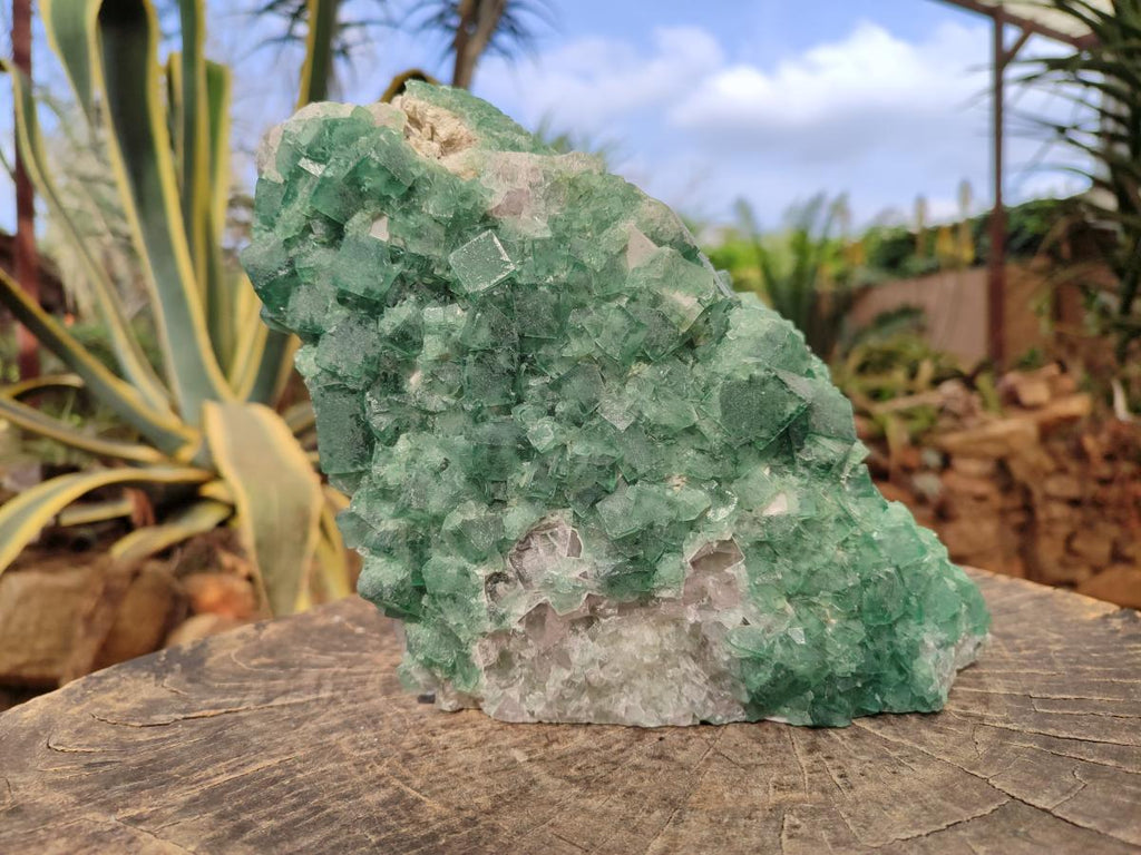 Natural Large Green Cubic Fluorite Specimen x 1 From Mandrosonoro, Madagascar - Toprock Gemstones and Minerals 