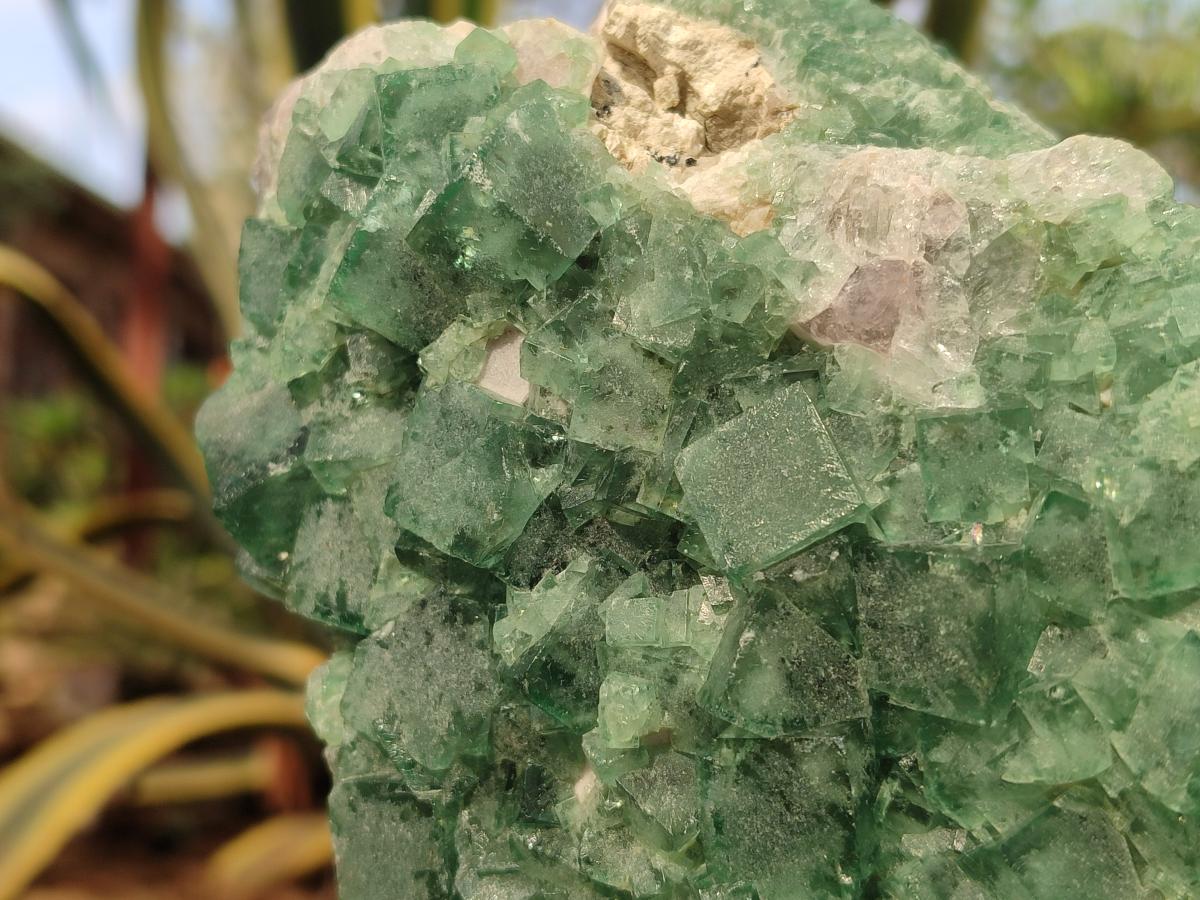 Natural Large Green Cubic Fluorite Specimen x 1 From Mandrosonoro, Madagascar - Toprock Gemstones and Minerals 
