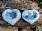 Polished and Natural Blue Celestite Hearts x 3 From Sakoany, Madagascar