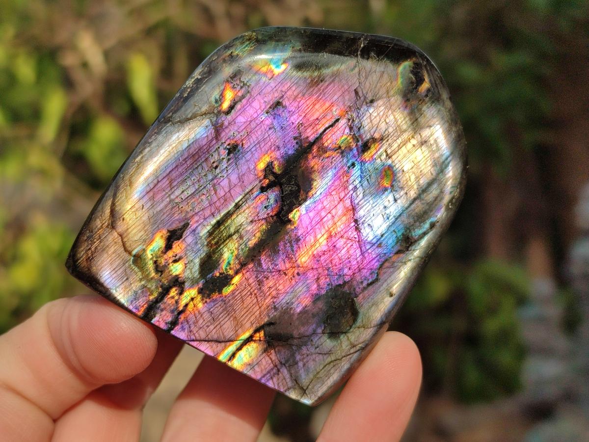 Polished Labradorite Standing Display Pieces x 6 From Madagascar