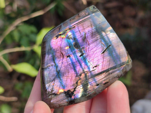 Polished Labradorite Standing Display Pieces x 6 From Madagascar