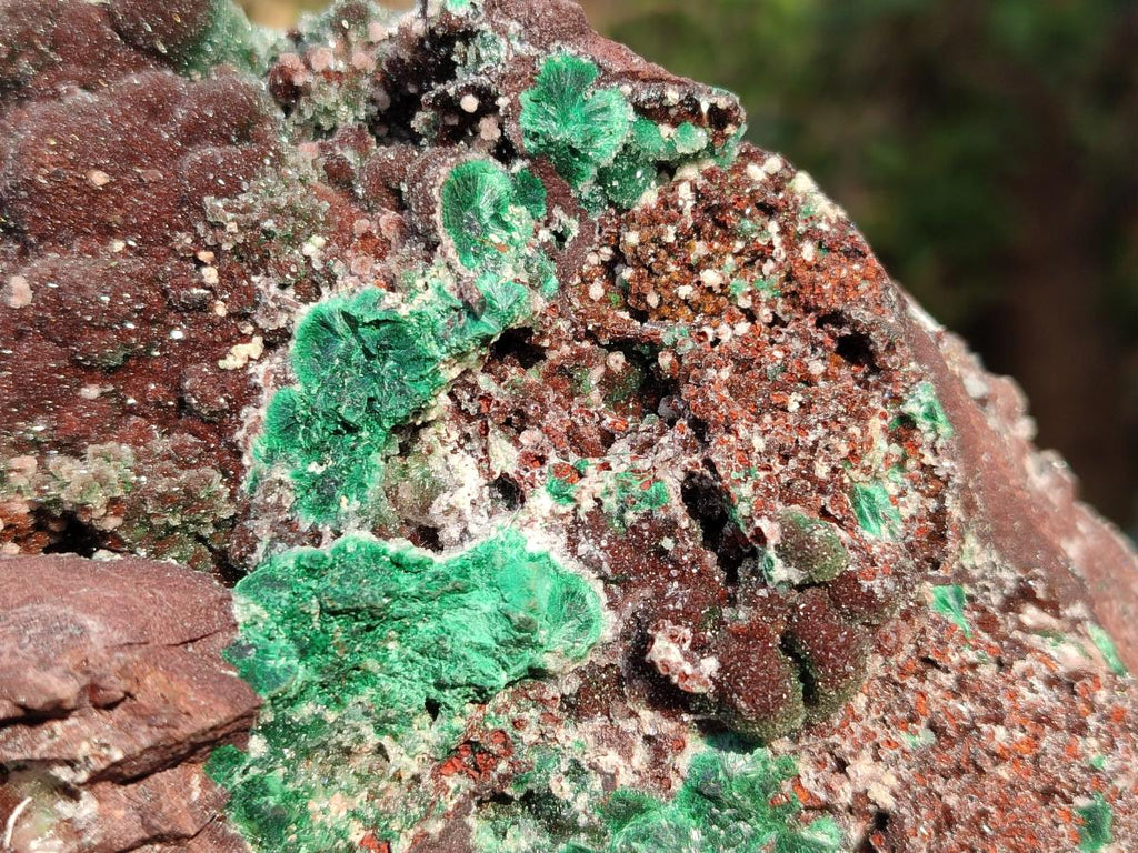 Natural XL Drusy Quartz Coated Ball Malachite Specimen on Red Copper Dolomite x 1 From Mindingi Mine, Kambove, Congo