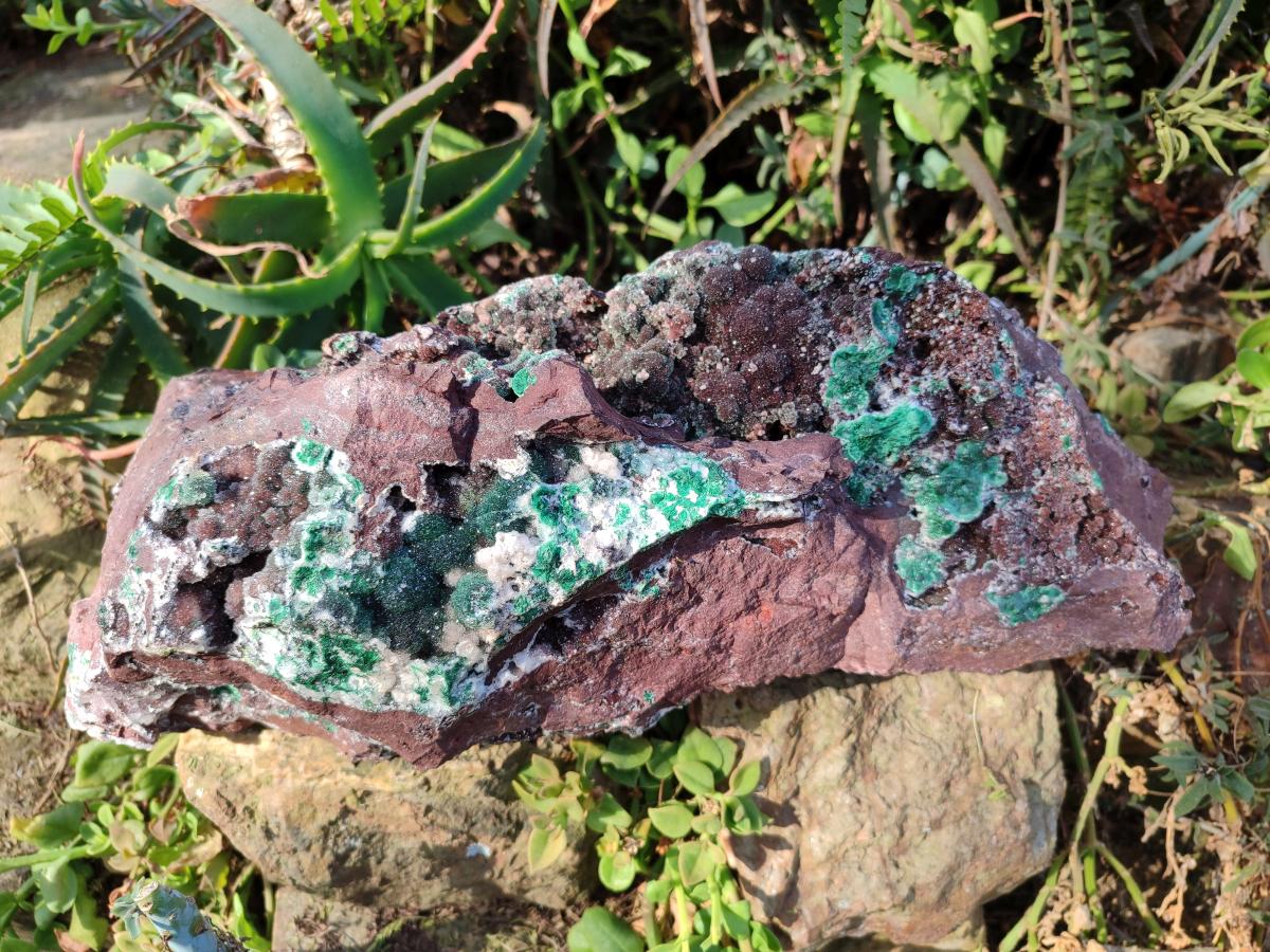 Natural XL Drusy Quartz Coated Ball Malachite Specimen on Red Copper Dolomite x 1 From Mindingi Mine, Kambove, Congo