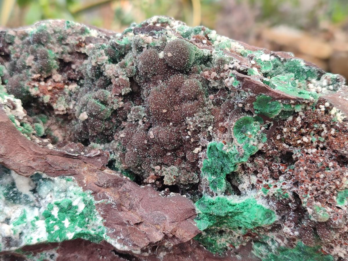 Natural XL Drusy Quartz Coated Ball Malachite Specimen on Red Copper Dolomite x 1 From Mindingi Mine, Kambove, Congo