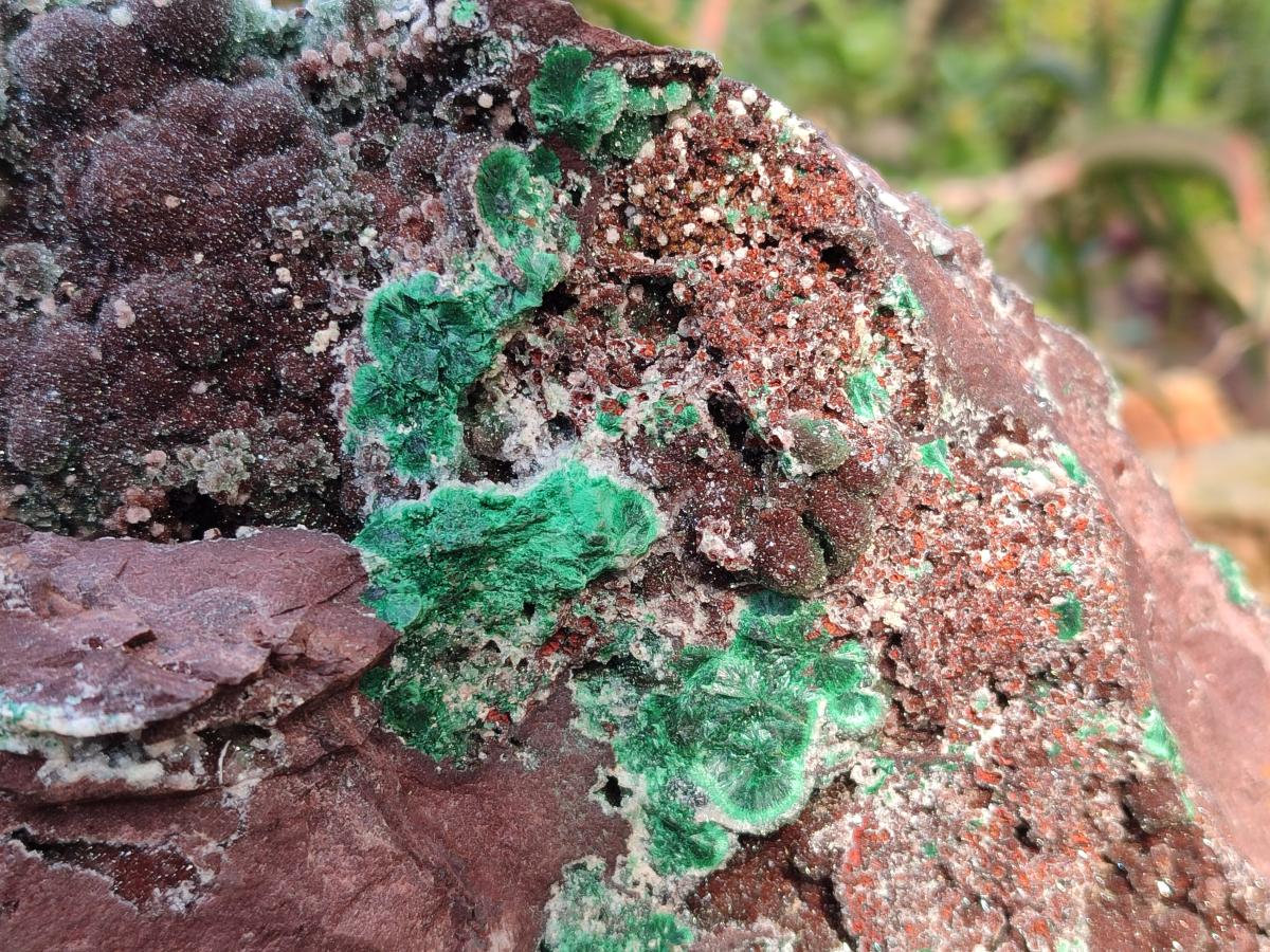 Natural XL Drusy Quartz Coated Ball Malachite Specimen on Red Copper Dolomite x 1 From Mindingi Mine, Kambove, Congo