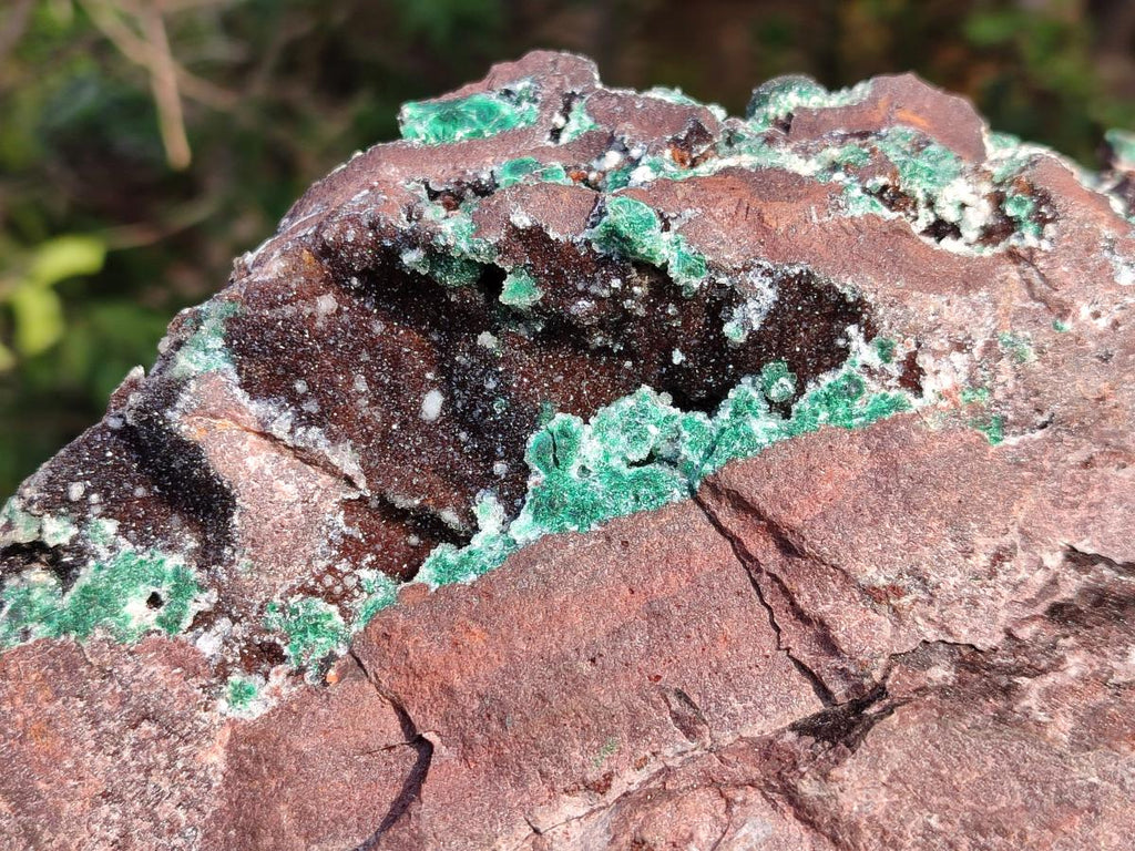 Natural XL Drusy Quartz Coated Ball Malachite Specimen on Red Copper Dolomite x 1 From Mindingi Mine, Kambove, Congo