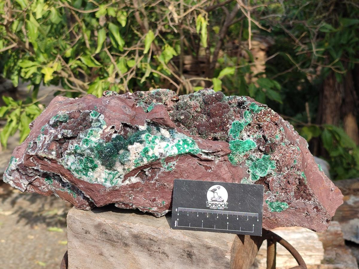 Natural XL Drusy Quartz Coated Ball Malachite Specimen on Red Copper Dolomite x 1 From Mindingi Mine, Kambove, Congo