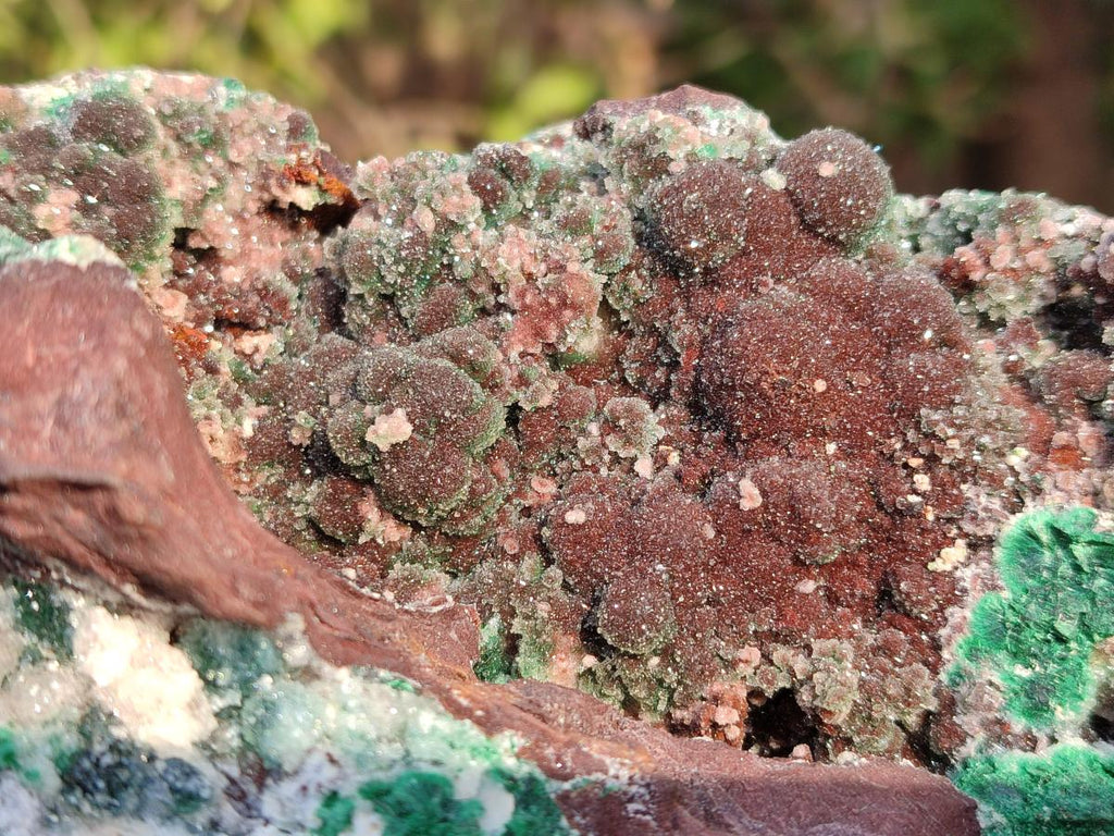 Natural XL Drusy Quartz Coated Ball Malachite Specimen on Red Copper Dolomite x 1 From Mindingi Mine, Kambove, Congo