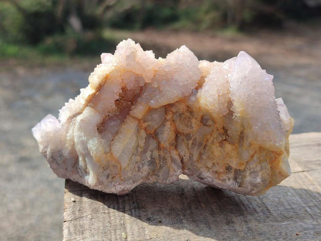 Natural Mix of Spirit Quartz Clusters x 16 From Boekenhouthoek, South Africa