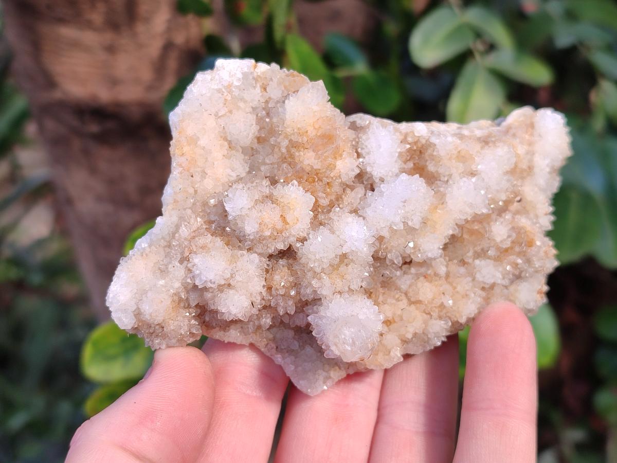 Natural Mix of Spirit Quartz Clusters x 16 From Boekenhouthoek, South Africa