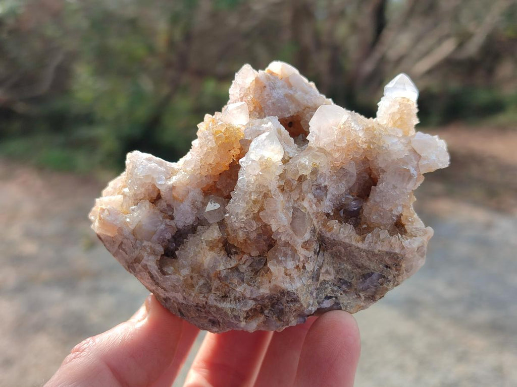 Natural Mix of Spirit Quartz Clusters x 16 From Boekenhouthoek, South Africa