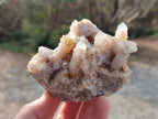 Natural Mix of Spirit Quartz Clusters x 16 From Boekenhouthoek, South Africa