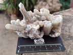 Natural Mix of Spirit Quartz Clusters x 16 From Boekenhouthoek, South Africa