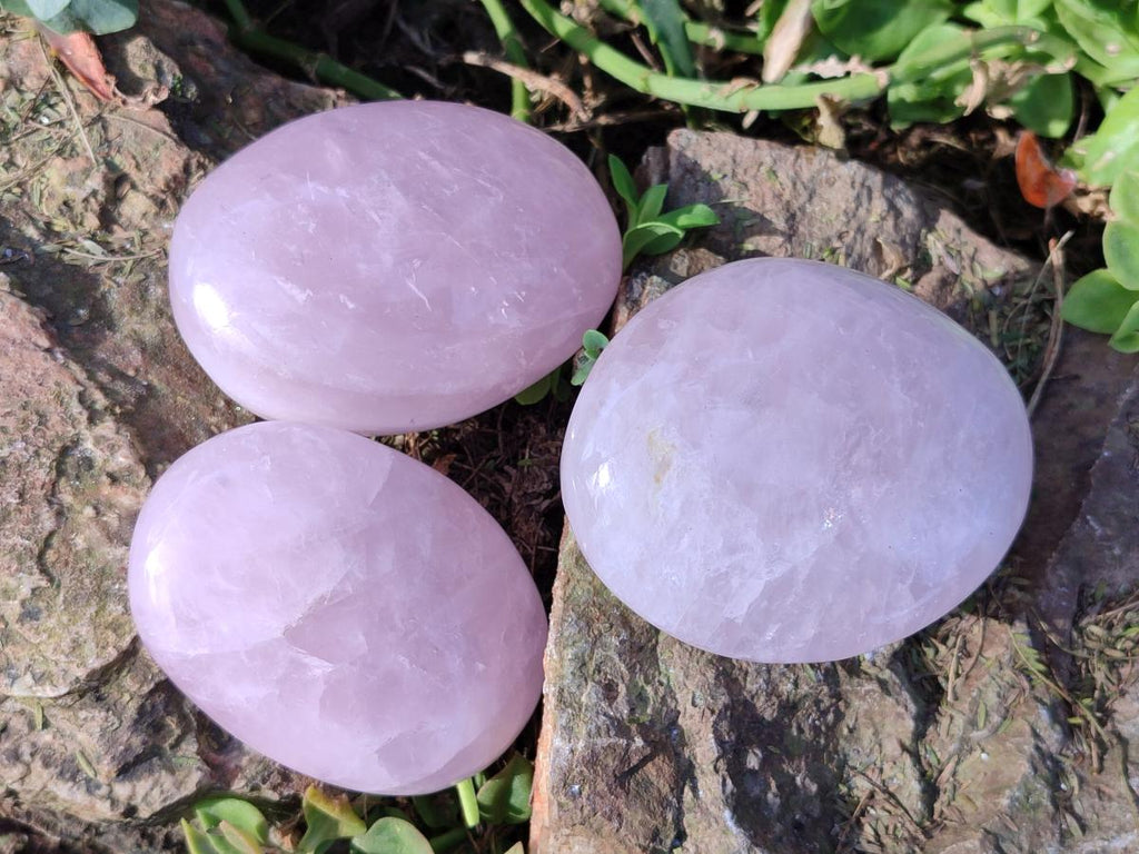 Polished Large Rose Quartz Free Forms x 16 From Zimbabwe