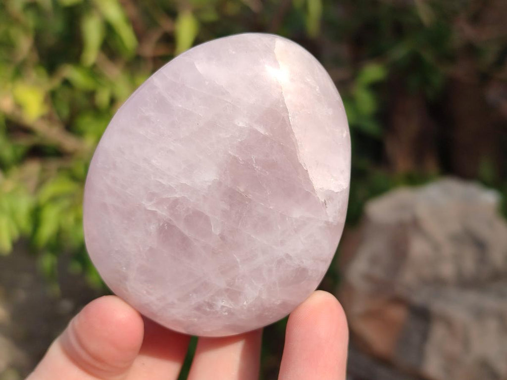 Polished Large Rose Quartz Free Forms x 16 From Zimbabwe