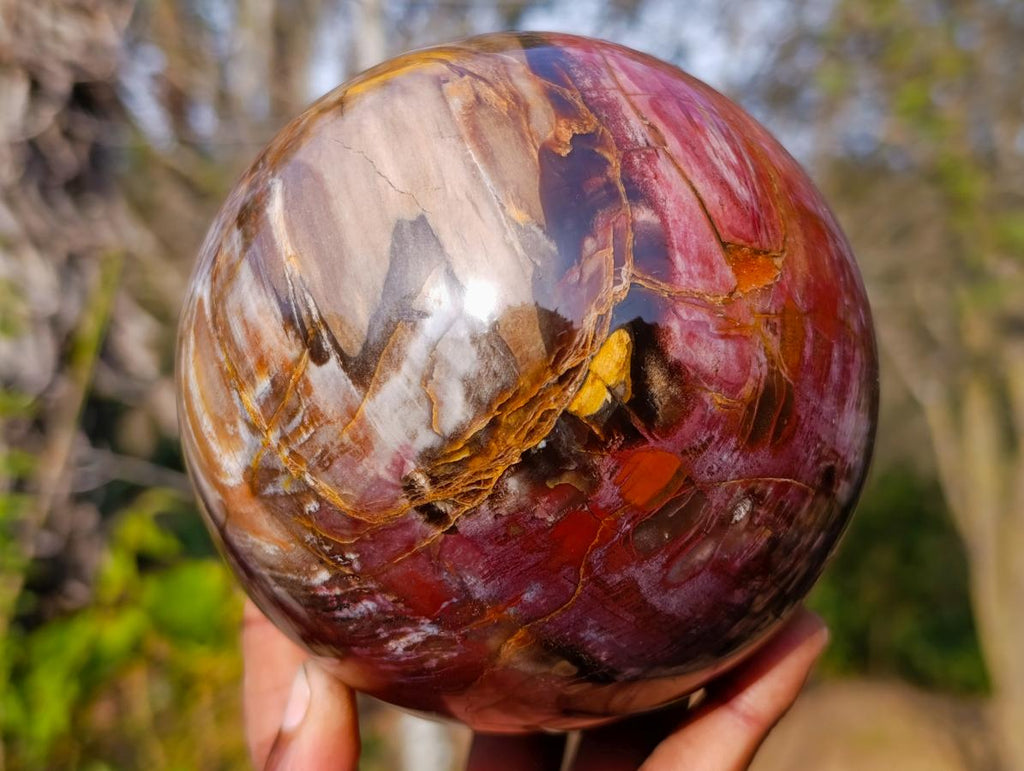 Polished Large Red Podocarpus Petrified Wood Sphere x 1 From Mahajanga, Madagascar - Toprock Gemstones and Minerals 