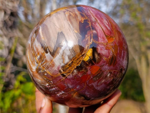 Polished Large Red Podocarpus Petrified Wood Sphere x 1 From Mahajanga, Madagascar - Toprock Gemstones and Minerals 