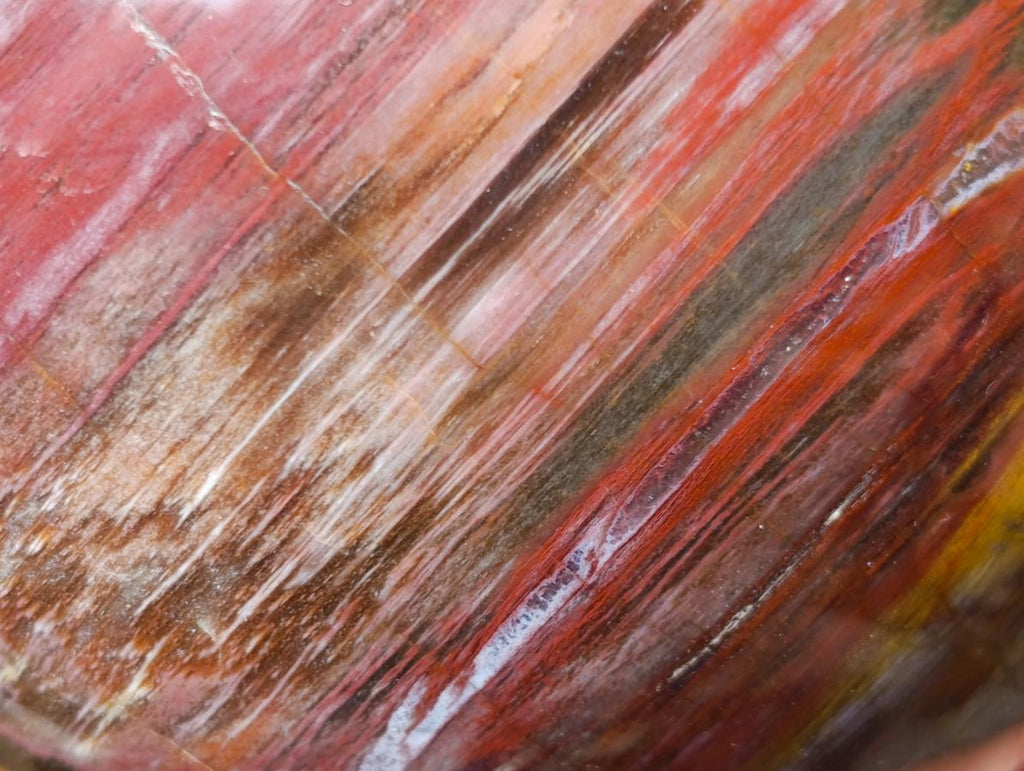 Polished Large Red Podocarpus Petrified Wood Sphere x 1 From Mahajanga, Madagascar - Toprock Gemstones and Minerals 