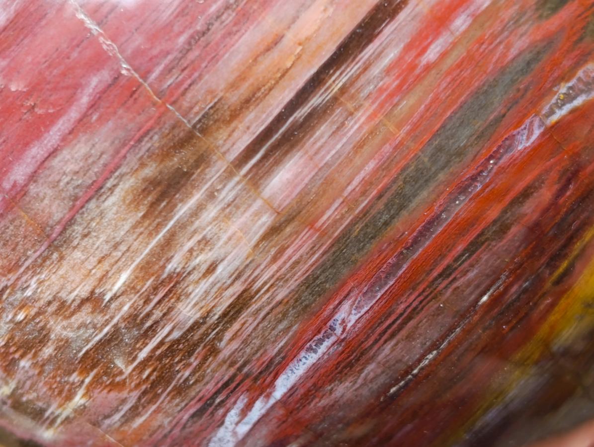 Polished Large Red Podocarpus Petrified Wood Sphere x 1 From Mahajanga, Madagascar - Toprock Gemstones and Minerals 