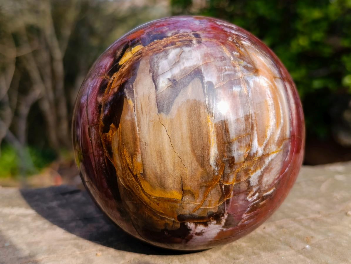 Polished Large Red Podocarpus Petrified Wood Sphere x 1 From Mahajanga, Madagascar - Toprock Gemstones and Minerals 