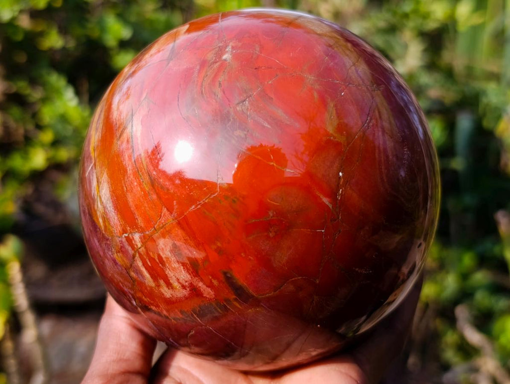 Polished Large Red Podocarpus Petrified Wood Sphere x 1 From Mahajanga, Madagascar - Toprock Gemstones and Minerals 