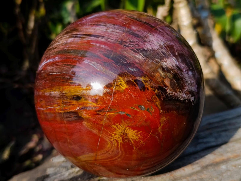Polished Large Red Podocarpus Petrified Wood Sphere x 1 From Mahajanga, Madagascar - Toprock Gemstones and Minerals 