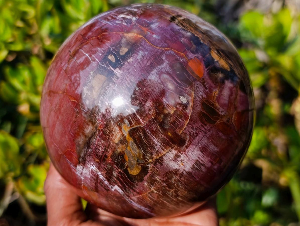 Polished Large Red Podocarpus Petrified Wood Sphere x 1 From Mahajanga, Madagascar - Toprock Gemstones and Minerals 