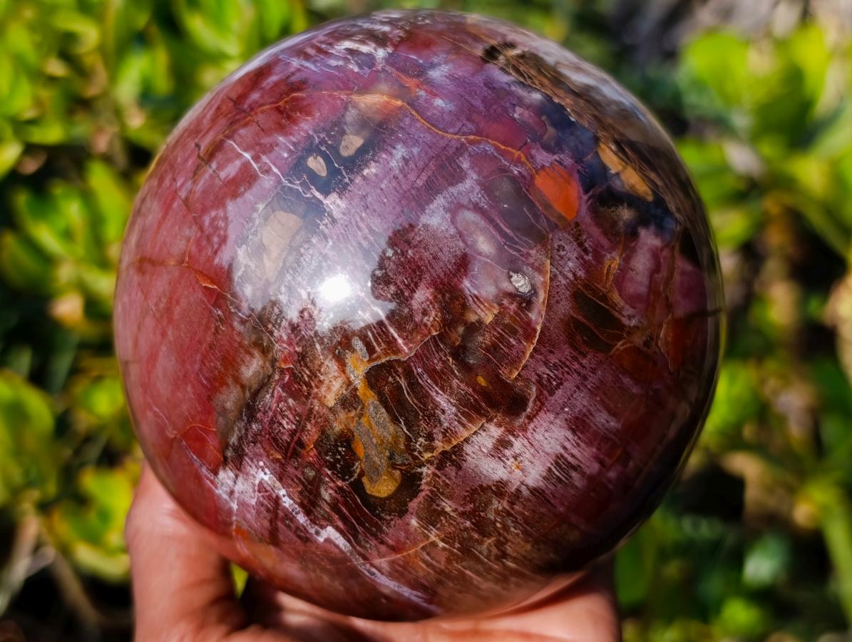 Polished Large Red Podocarpus Petrified Wood Sphere x 1 From Mahajanga, Madagascar - Toprock Gemstones and Minerals 